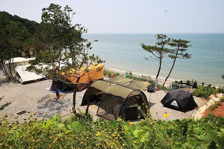영흥도어울림캠핑장 대표 이미지