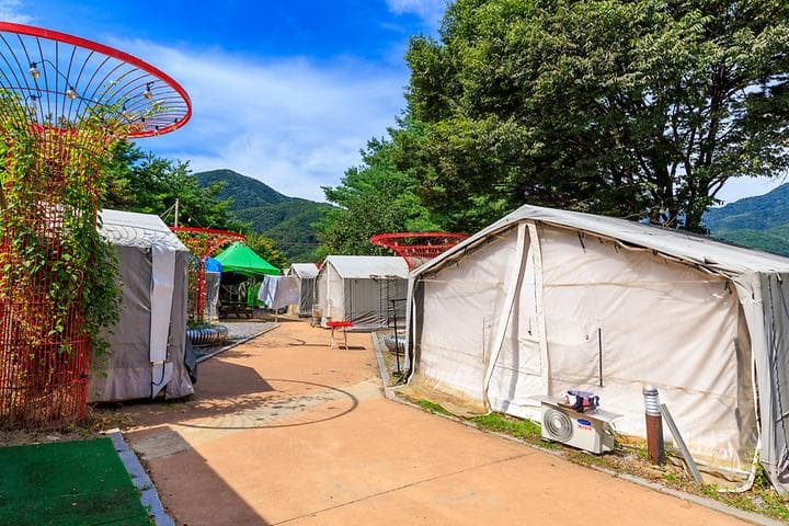 젠틀펫 파라다이스 대표 이미지