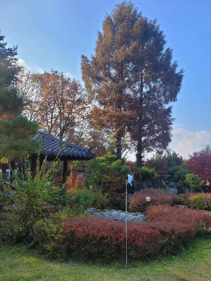 금산만악리수목원 오토캠핑장 대표 이미지