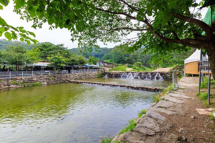 팔공 쉼터 야영장 대표 이미지