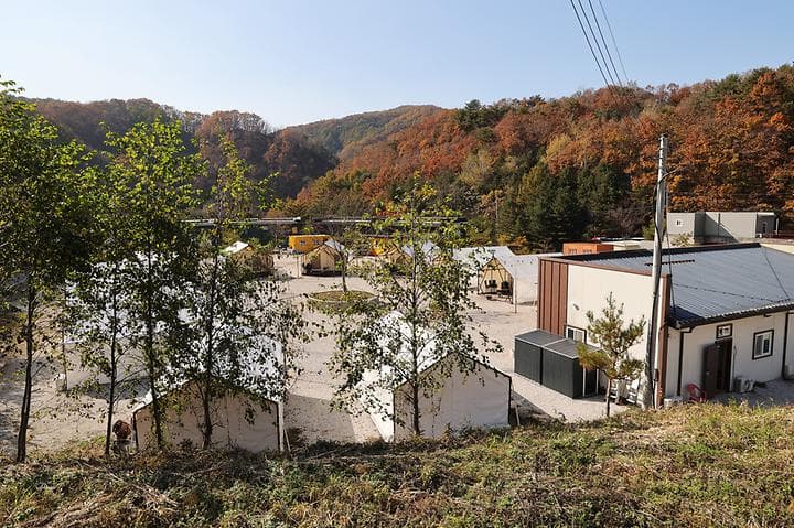 호랑이캠핑 대표 이미지