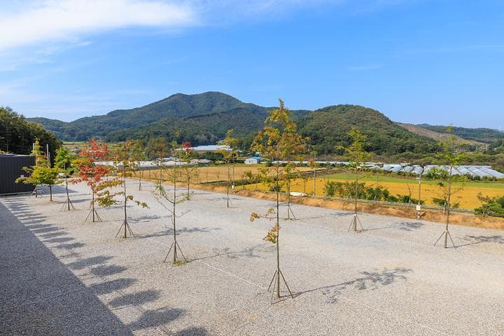 진천포레스트캠핑장 대표 이미지