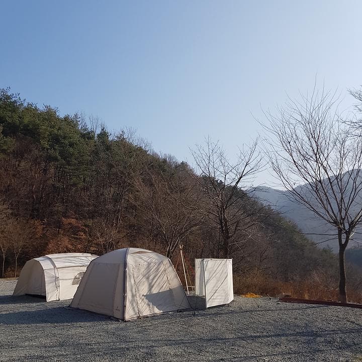 숲에안기다 대표 이미지