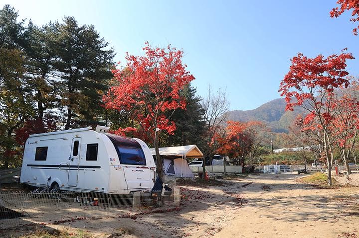 큰돌 캠핑장 대표 이미지