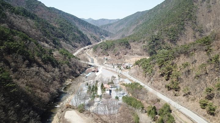 포레스트힐링캠프 대표 이미지