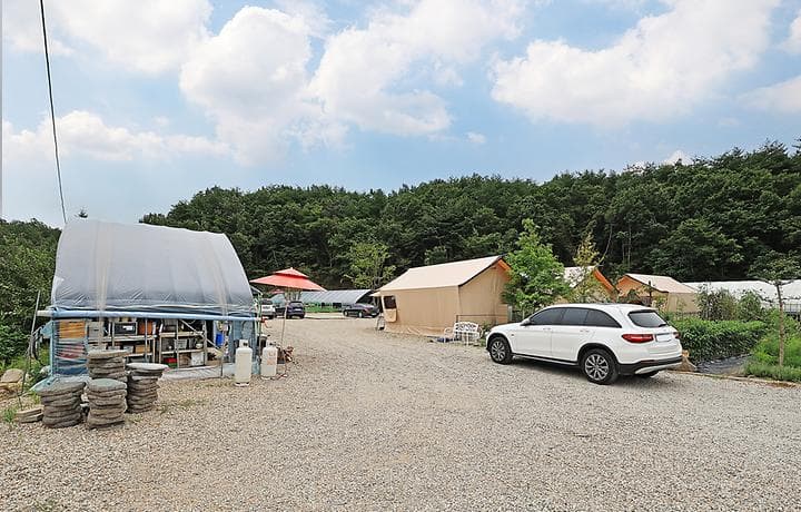 고성 탑 글램핑 농원 대표 이미지
