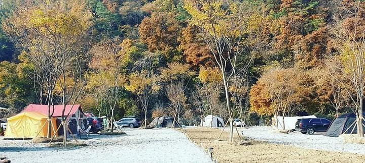 아우어캄푸스 대표 이미지