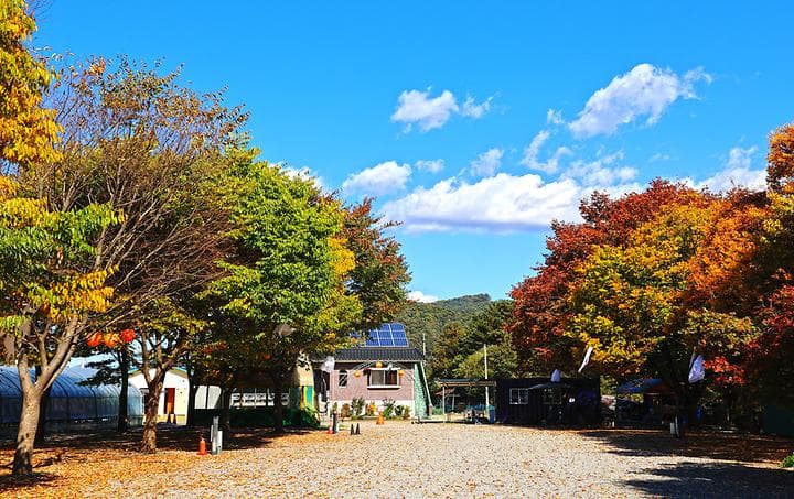 포도밸리 캠핑장 대표 이미지