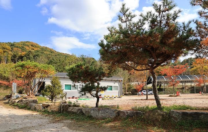 포천그린별캠핑장 대표 이미지