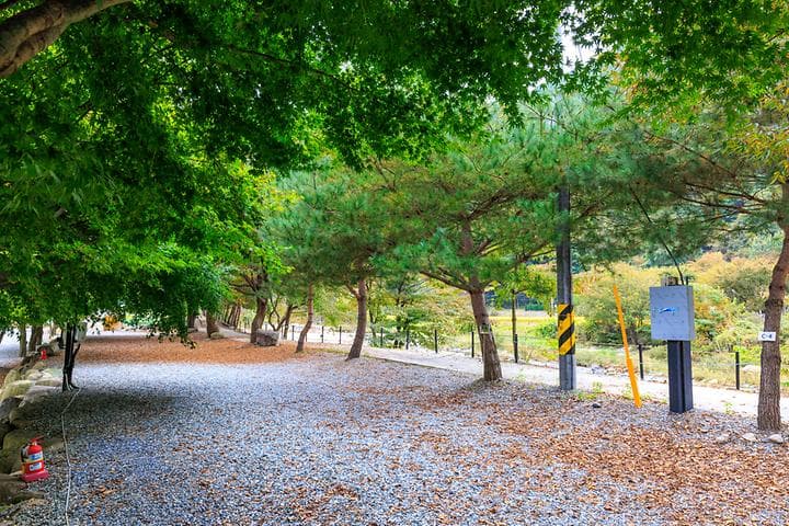 포레스트캐빈앤캠프 대표 이미지