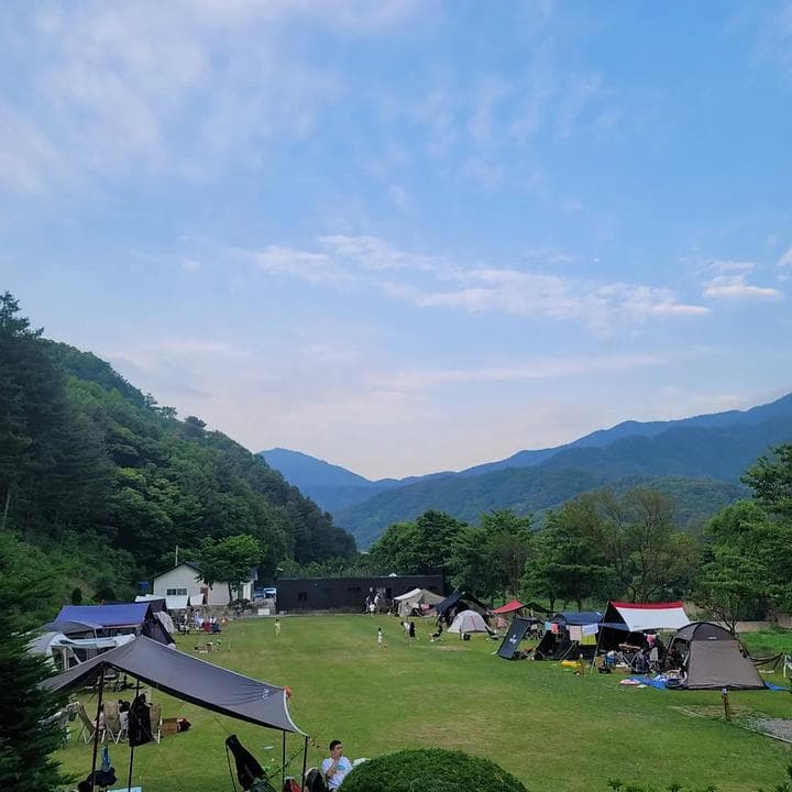 캠프99 대표 이미지