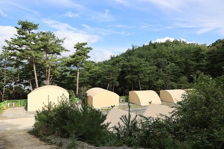 현대야영장 대표 이미지