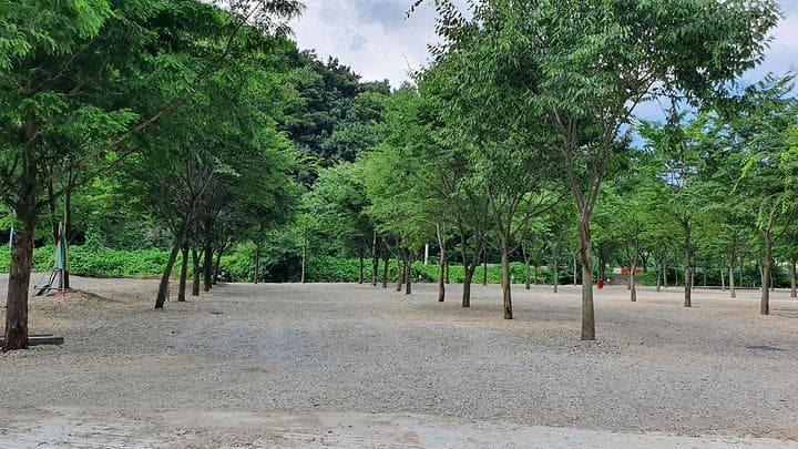금산 자연 오토캠핑장 대표 이미지