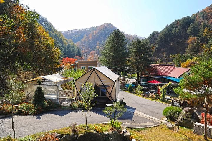 테라스527 캠핑장 대표 이미지