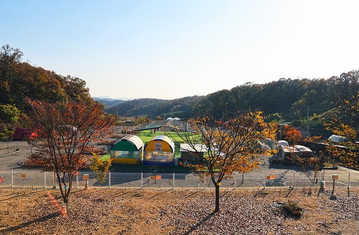달그린캠프 대표 이미지