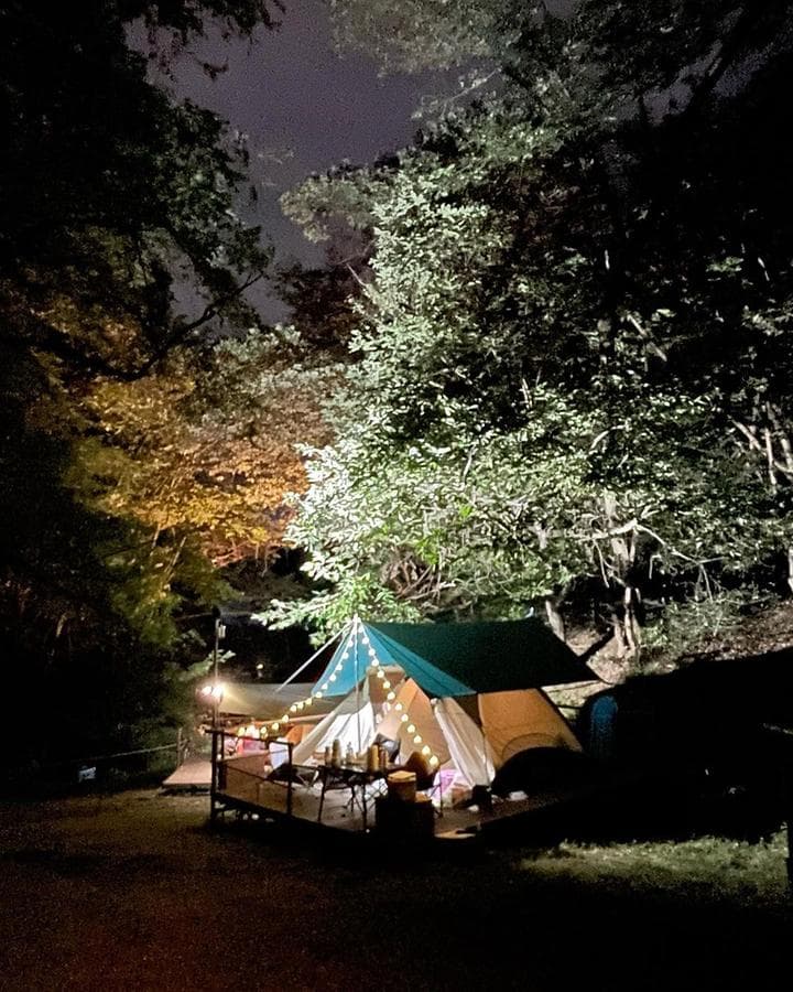 반달곰이 살던 숲 대표 이미지
