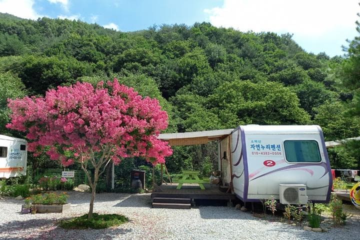 소백산자연누리야영장 대표 이미지