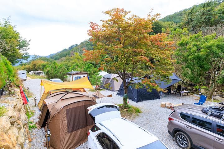 라온밸리캠핑장 대표 이미지