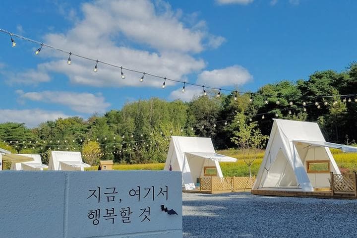 논논캠프 대표 이미지