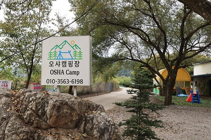 오샤 대표 이미지