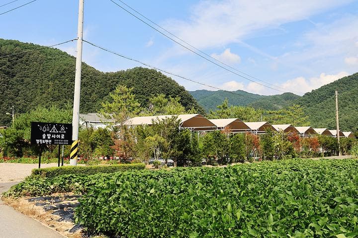 올캠프(ALL camp) 대표 이미지
