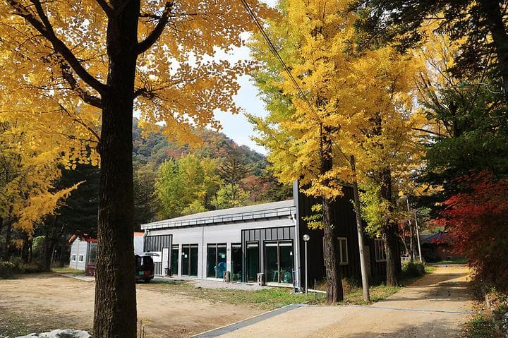 일영Star캠핑장 대표 이미지
