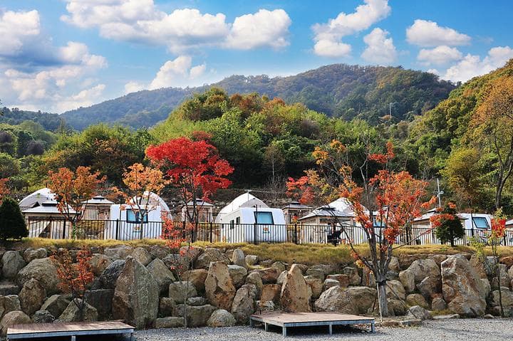 스토리숲(story숲) 대표 이미지