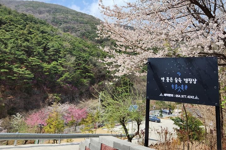 별품은 숲속 캠핑장 대표 이미지