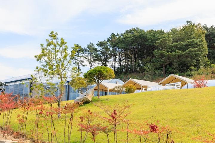 세제골농원 숲속야영장 대표 이미지