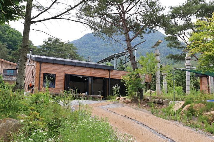 힐링인더 포레스트 대표 이미지