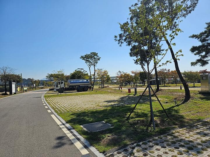 충주 목계솔밭 캠핑장 대표 이미지