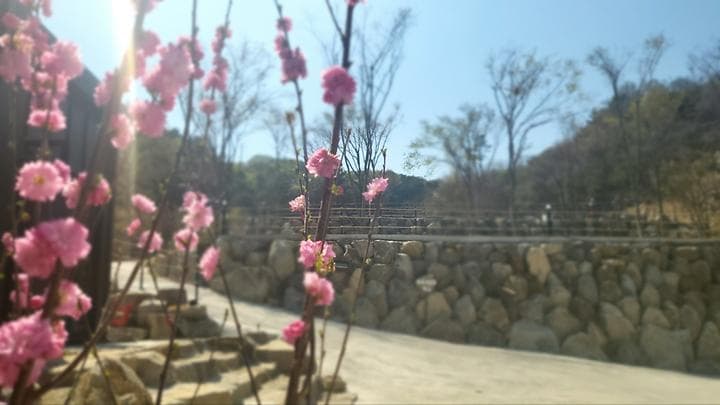 다문188캠핑장 대표 이미지