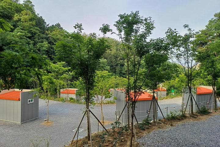 몽상핀 대표 이미지