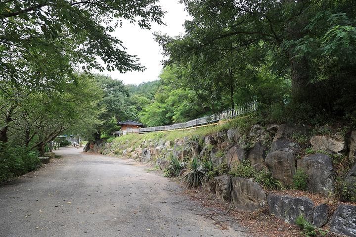 서운산캠핑장 대표 이미지