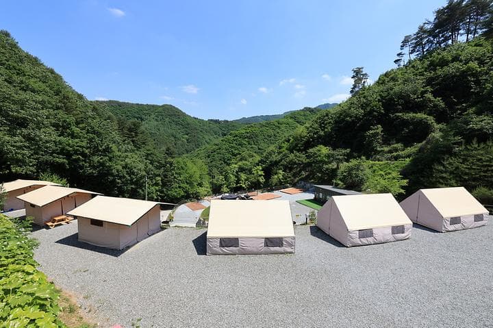 비발디캠핑파크 미루나무점 대표 이미지