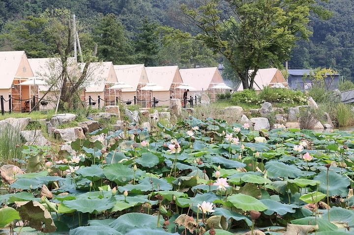 (주)더캠핑야미 대표 이미지