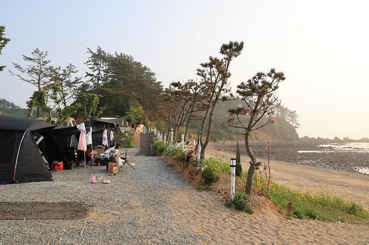 파도와노을캠핑장 대표 이미지