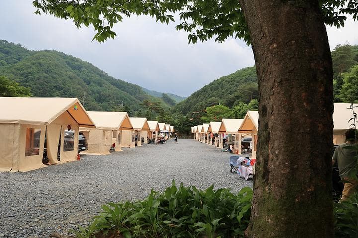 글램서마니 대표 이미지