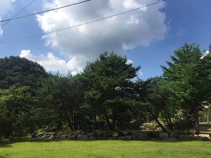 덕동리301캠핑장 대표 이미지