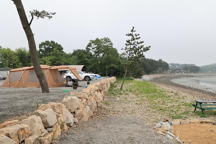 태안머드오토캠핑 대표 이미지