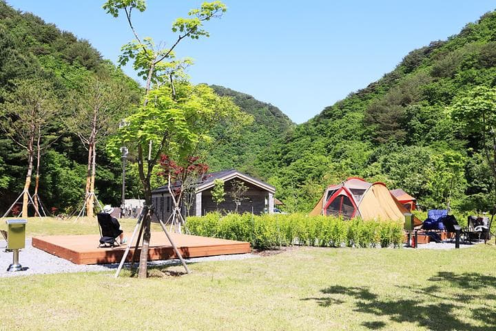 갯골자연휴양림 야영장 대표 이미지