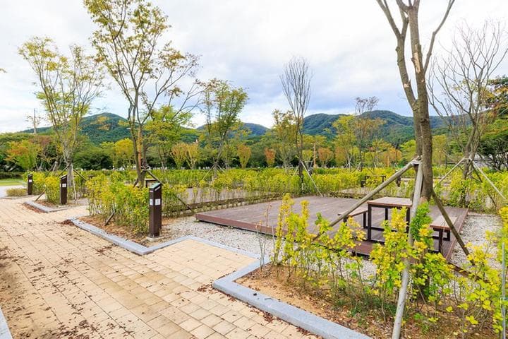 내장산국립공원 내장호야영장 대표 이미지
