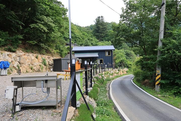 숲속다람쥐 캠프 대표 이미지