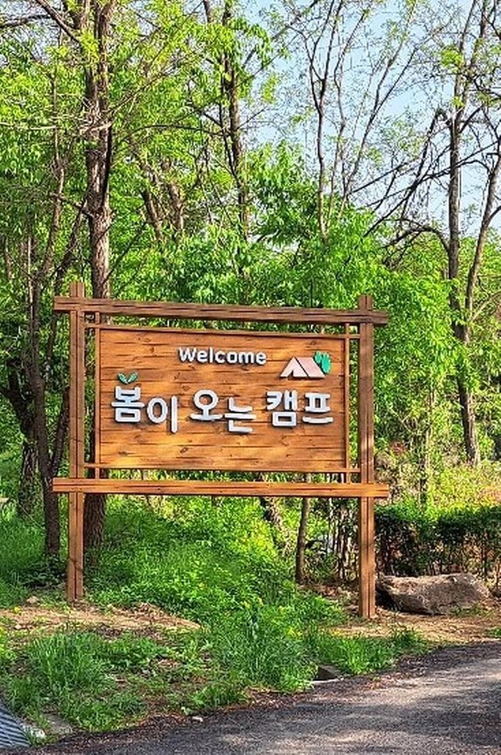 봄이오는 캠프 대표 이미지