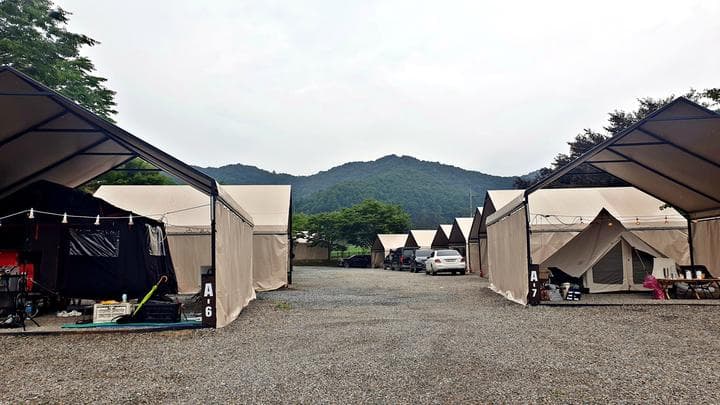 원더 포레스트 대표 이미지