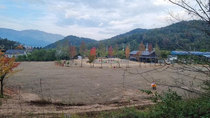 포항 서숲 오토캠핑장 대표 이미지