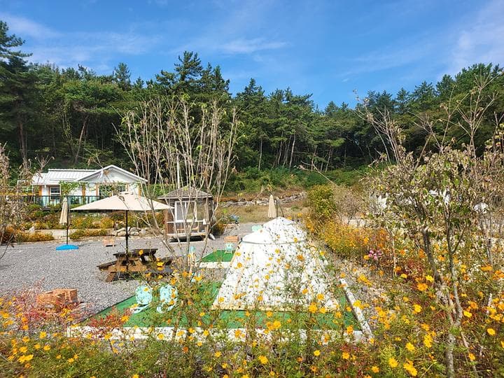 사천파인트리캠핑장 대표 이미지