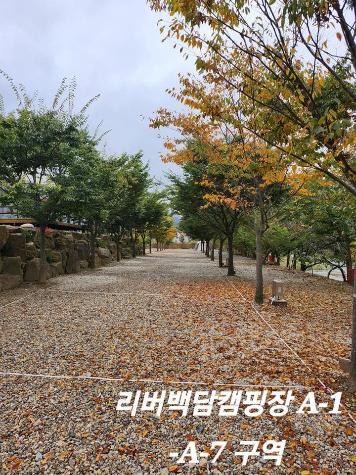 리버백담 캠핑장 대표 이미지