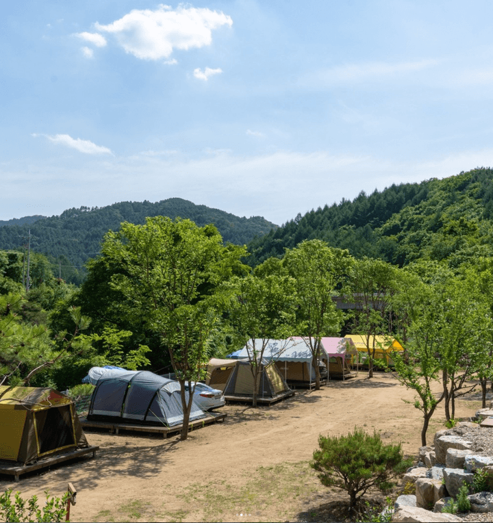 늘편한캠핑장(2) 대표 이미지