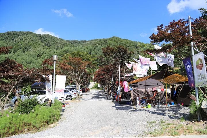 매봉힐링캠프 대표 이미지